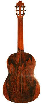 gitarrenbild