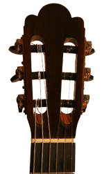 gitarrenbild