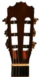 gitarrenbild