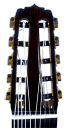 gitarrenbild